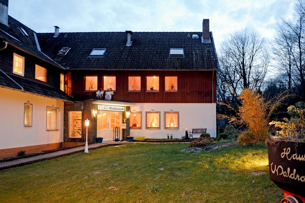 Hotel Waldrausch Goslar Ngoại thất bức ảnh