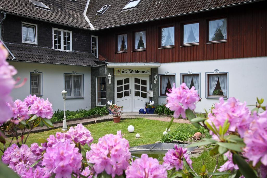 Hotel Waldrausch Goslar Ngoại thất bức ảnh
